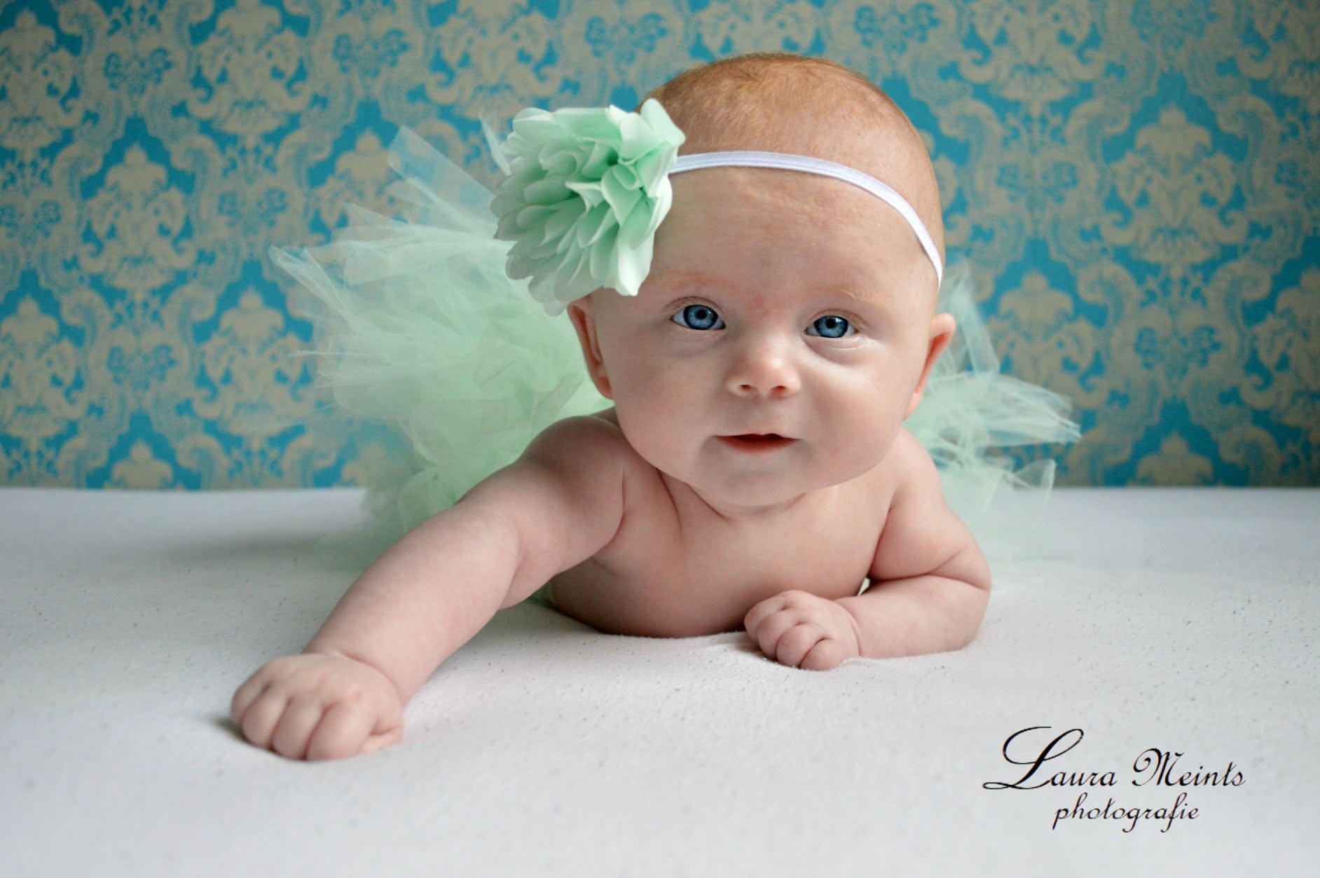 Portfoliofoto 473249558_966053502103299_903040224397423870_n