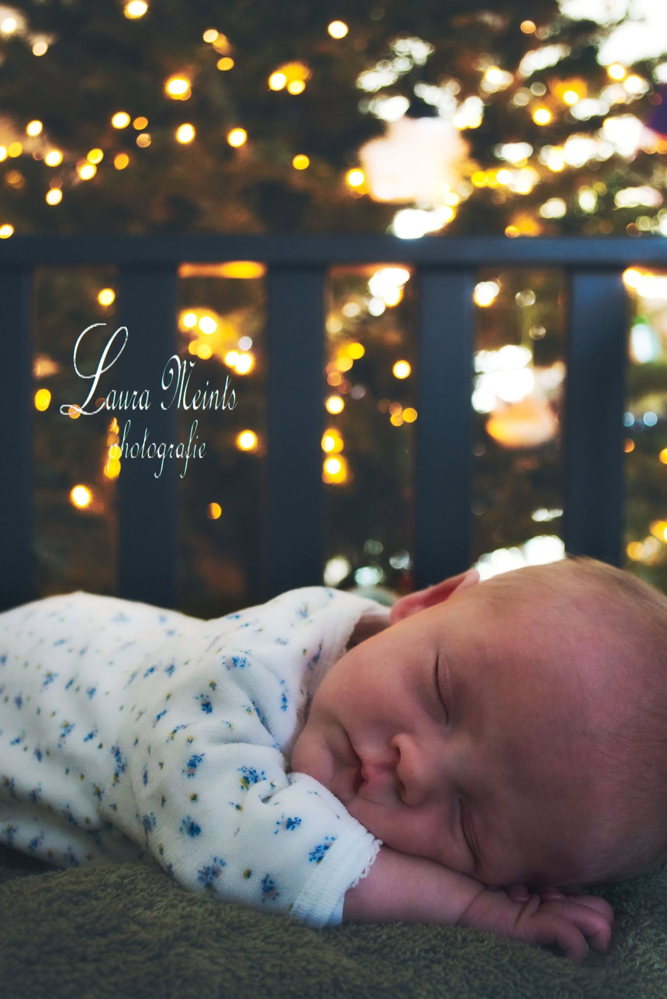 Portfoliofoto 473317290_966055402103109_5433636492818010746_n