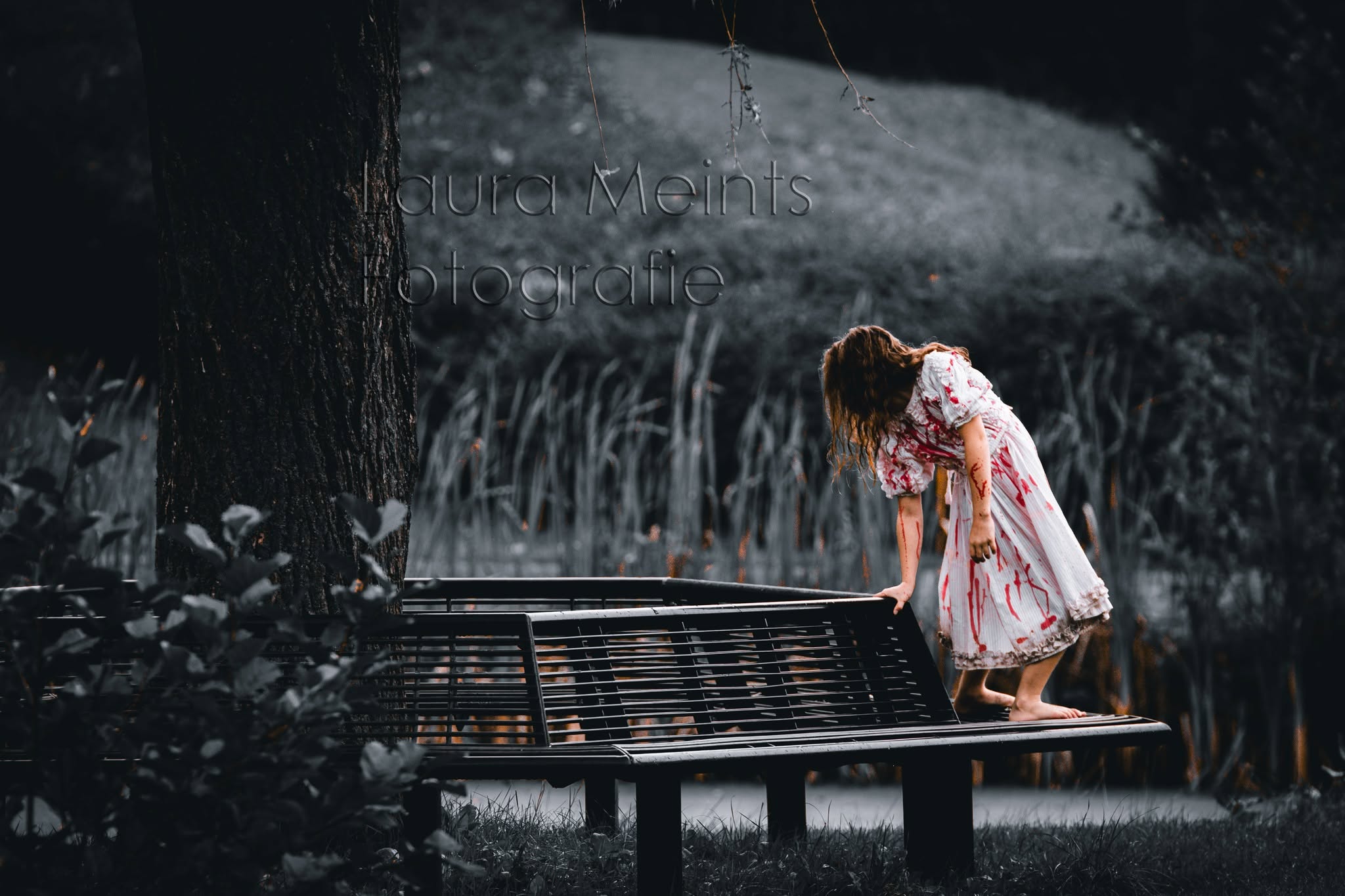 Portfoliofoto 1